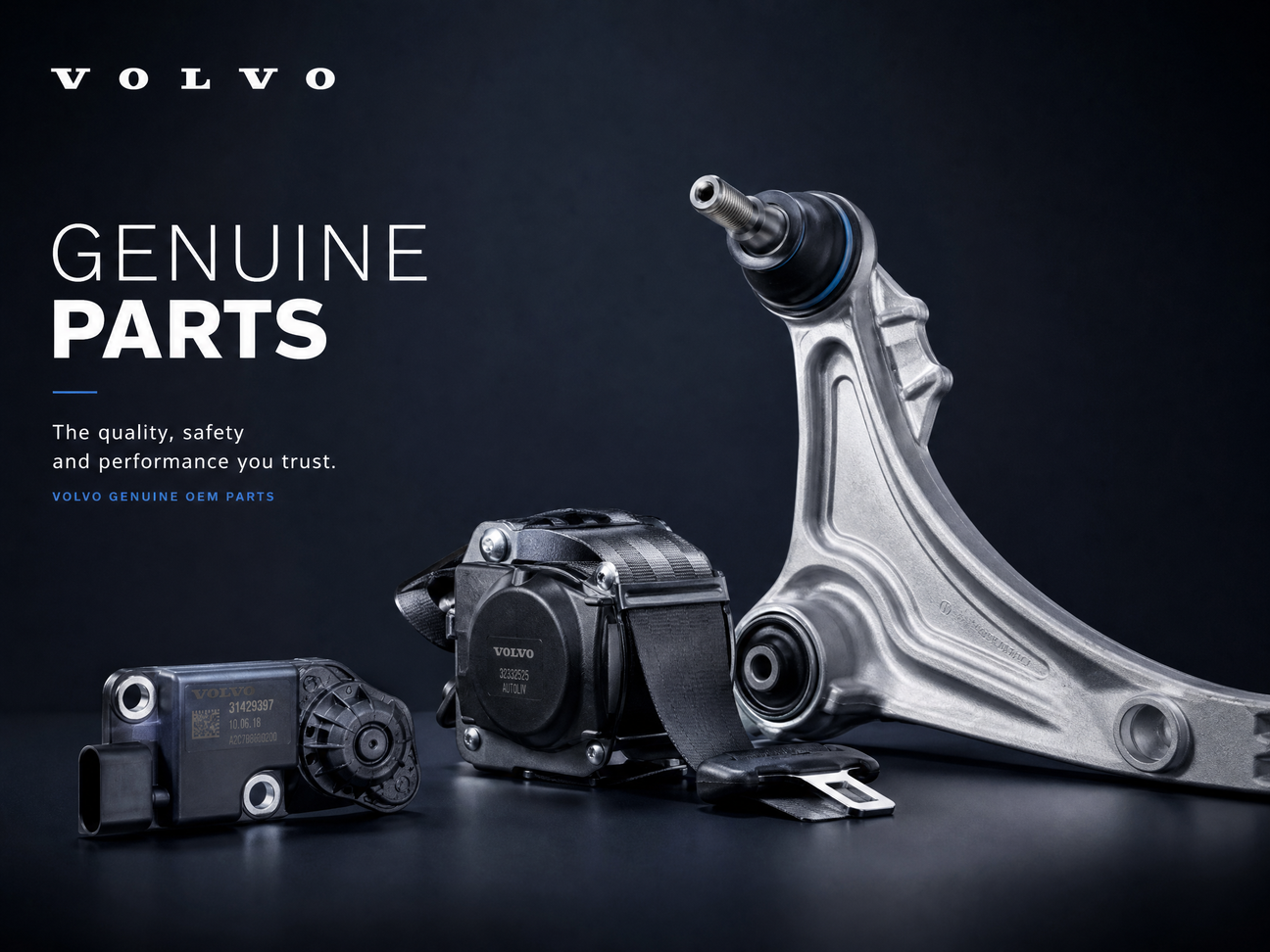 Volvo Ricambi Originali OEM | Fratelli Leo cover image