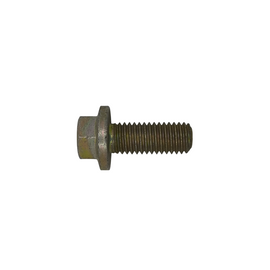 Aston Martin Vite flangia M10X25 697124